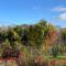 Historic Home Saint-Aignan by Lake