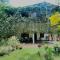 Aloe Vera Guest House