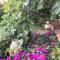 B&B Le Palme