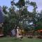 Kaitoons River House