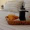 Kato Paphos Suites