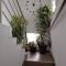 Guest House Toic