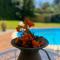 Green paradise with Etna view