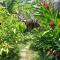 Jungle Hut near Beach - Nature Lovers