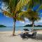 Wild Lotus Villa - Waterfront on Jolly Harbour