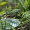 Treescapes - Rainforest Hot Tub 2km from Punakaiki