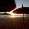 Las Flores Beach Resort