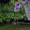 Luxury house "Heart of Nature" Visoko