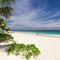 Aldea Tulum beachfront Villas