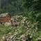 Guesthouse Dolunay