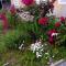 Studio apartman sirena