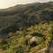 Yurts in Cyprus - Koliba Tiny House