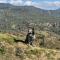 Yurts in Cyprus - Koliba Tiny House