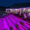 Keri Village & Spa by Zante Plaza (Adults Only) - Kerion