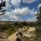 Yurts in Cyprus - Koliba Tiny House