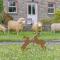 The Milking Parlour