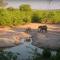 Mashatu Lodge