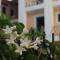 Renia Studios - Pool & Beach in 150m - Agia Pelagia