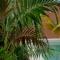 Disfruta en La Casa de Lola / Enjoy at Lolas house