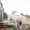 Bundaleer Tiny House 2 by Tiny Away
