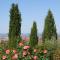 Tuscany Balcony Crete Senesi