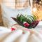 Protea Hotel by Marriott Zambezi River Lodge