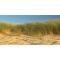 Holiday home with whirlpool and sauna in a quiet area in Zeeland