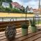 FeWo Ostrau, neues Bad, neue Küche, zentral, Sandstein-Ferien, Terrasse