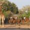 Kolokolo Safari Home - Mashatu Game Reserve