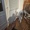 Nagyi Apartman Kecskemét