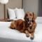 Fairfield by Marriott at Lakewood Ranch - Sarasota