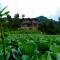 Saanidhya Homestay