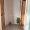Monkey House Hostel