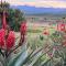 Renewal Retreat Klein Karoo Cottage