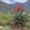 Renewal Retreat Klein Karoo Cottage