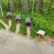 DFA Cabin Rentals
