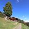 EAGGA-Niederleger Alm