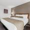 Rodeway Inn Rapid City North