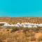 Aidar Yurt Camp