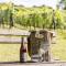 Monschein Weingut Straden