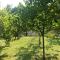 Holiday Home Dzeni