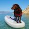 Milas pet friendly holiday house