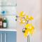 Sunny Dry Mill Apartment on Thesen Islands