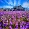 Velika planina Chalet SLOVENKA