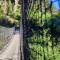 TREE LODGE CHILOE