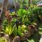 Tiki Ora Lodge - MANU