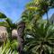 Tiki Ora Lodge - VARUA