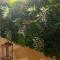Infinit Home Duplex entero