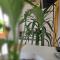 Flat in Gyumri