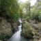 Waterfall Wood Cottage